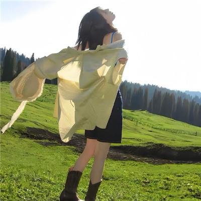 陆行鲨