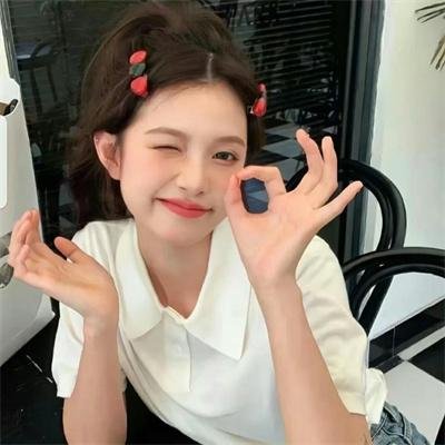 布里斯比熊